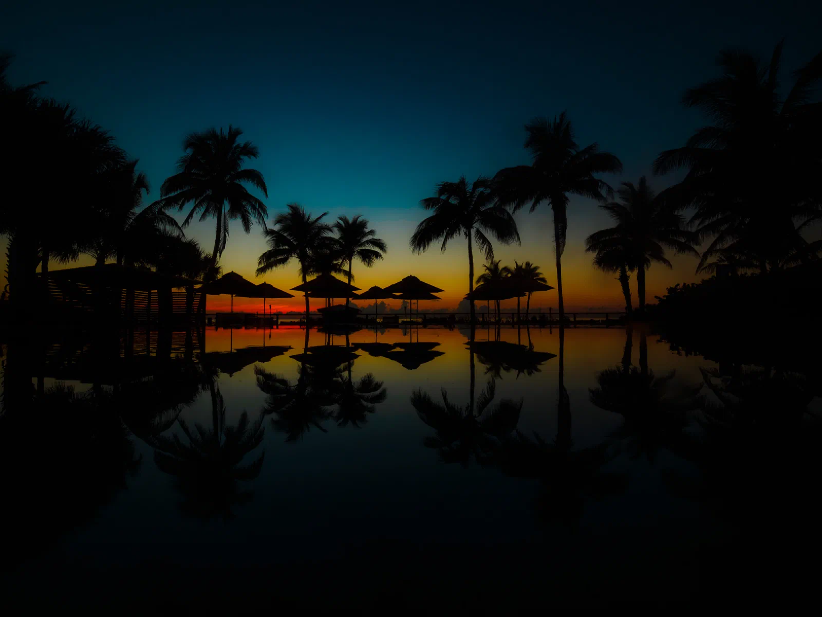 Palm trees and umbrellas reflected in a pool at sunrise in Fort Lauderdale