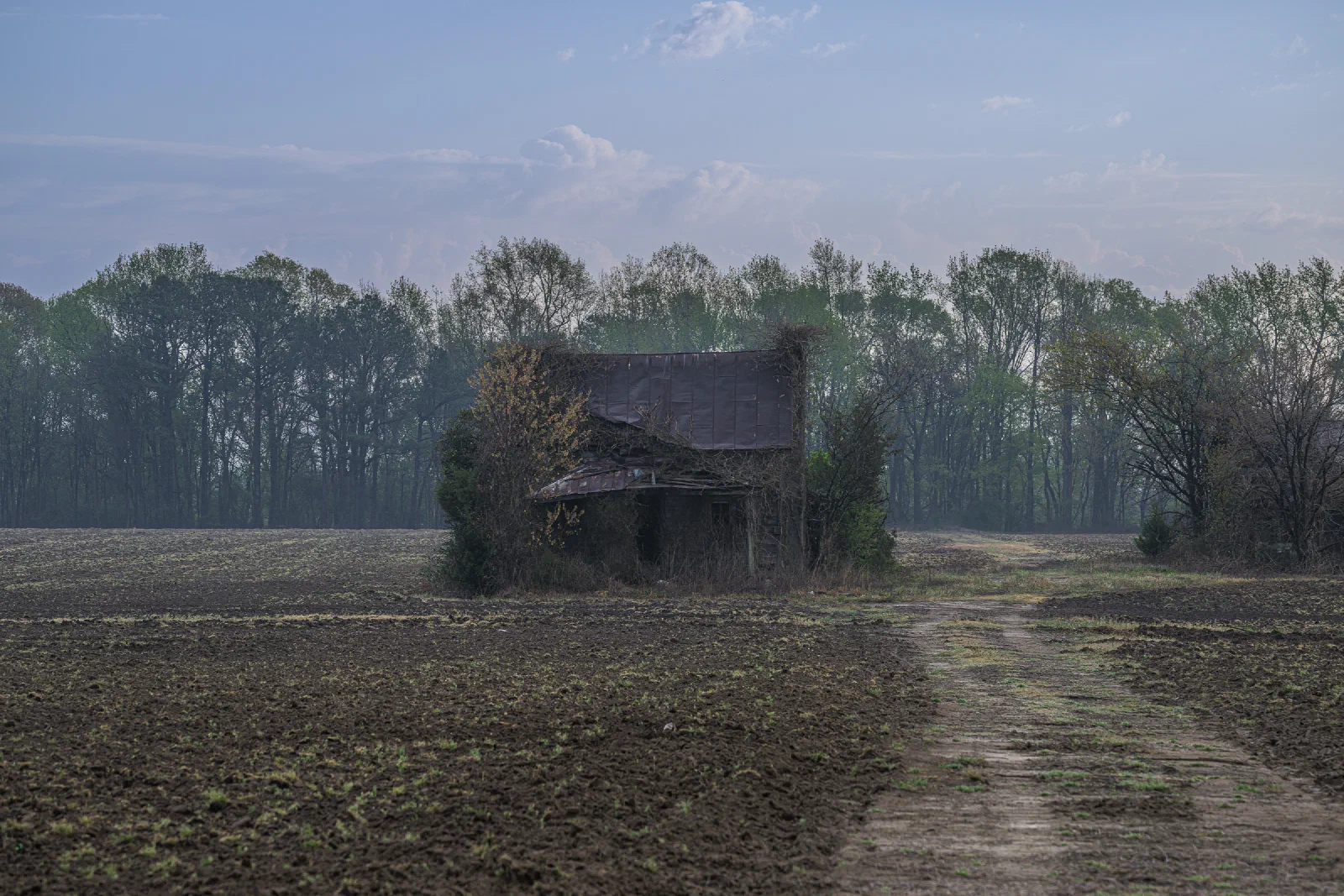Abandoned house standing alone beside a field